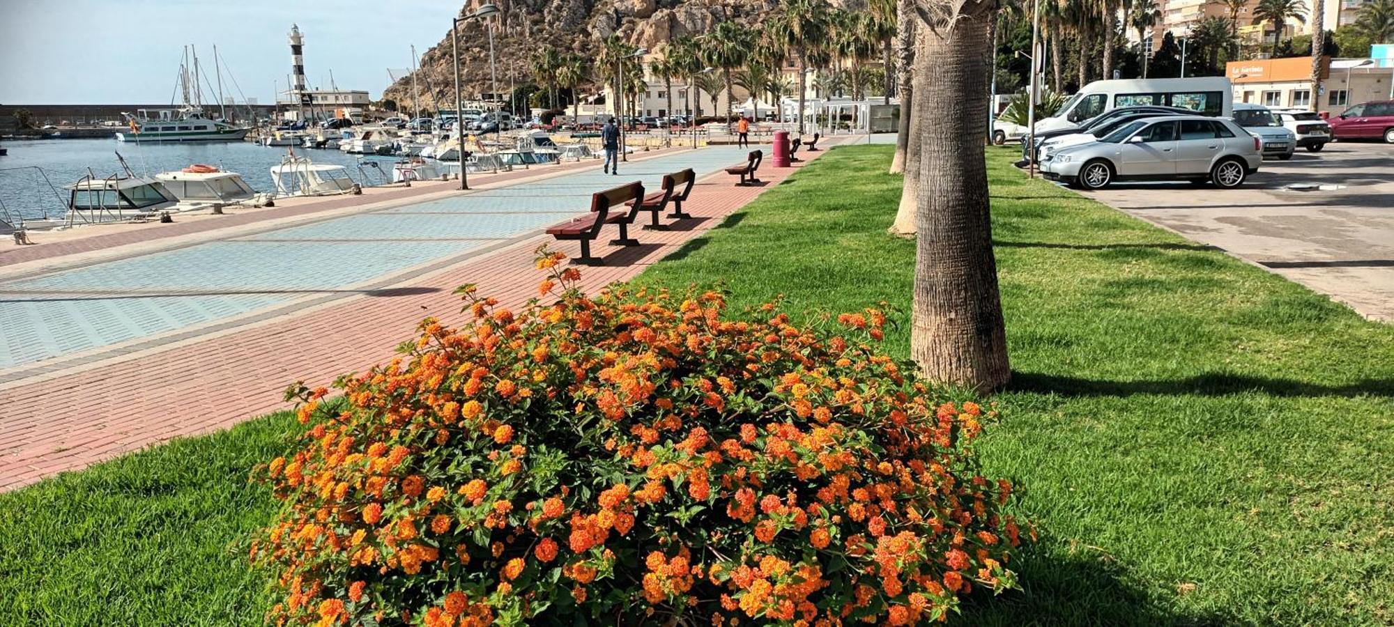 Apartamento Tranquilo Cerca De Buena Piscina Y Con Buen Aire Acondicionado Águilas Kültér fotó